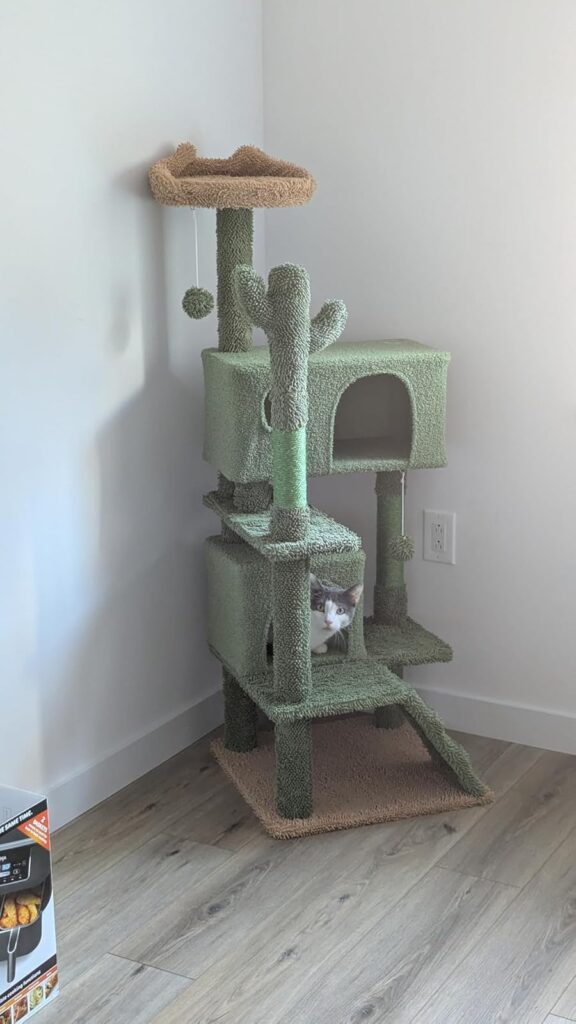 Multi-level modern cat tree resembling a cactus with plush platforms and sisal-covered posts