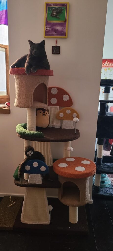 Mushroom Cat Tree with Condos review 3