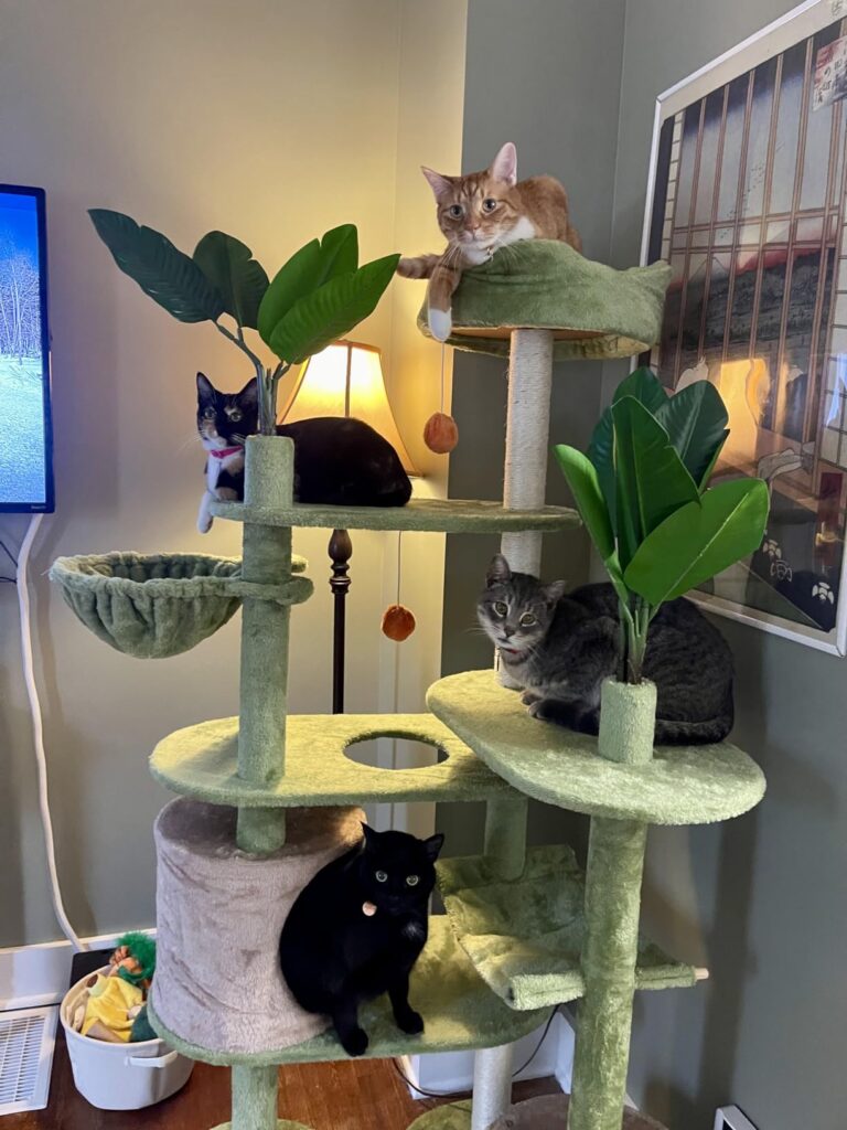 Nature-Inspired Cat Tree with Leaves review 1