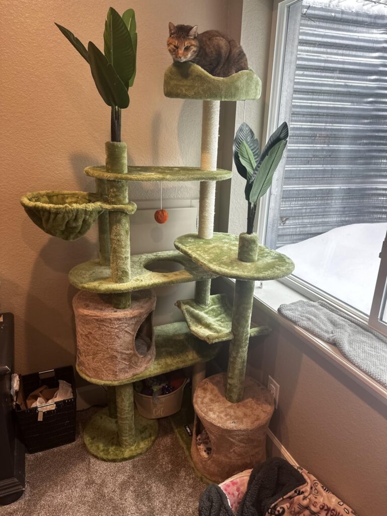 Nature-Inspired Cat Tree with Leaves review 2