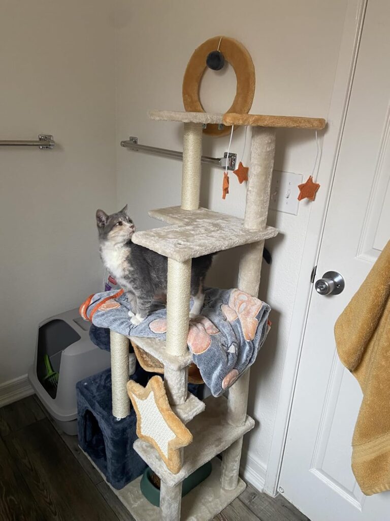 Whimsical Cat Tree with Stars review 2