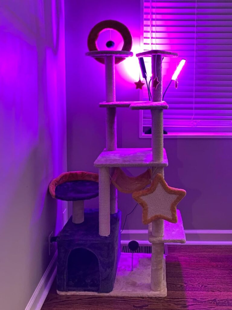 Whimsical Cat Tree with Stars review 3