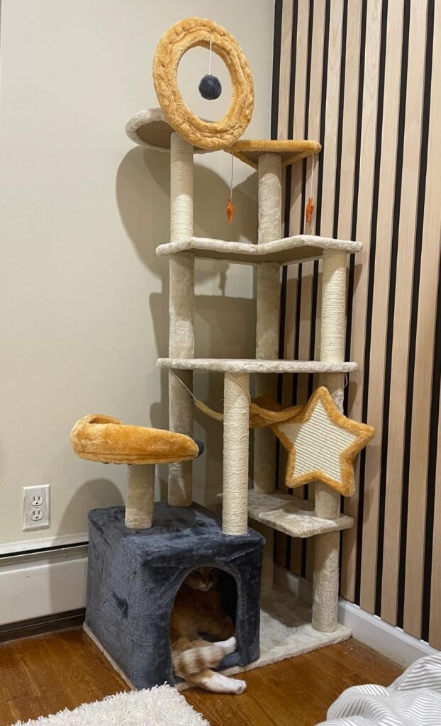 Whimsical Cat Tree with Stars review 4