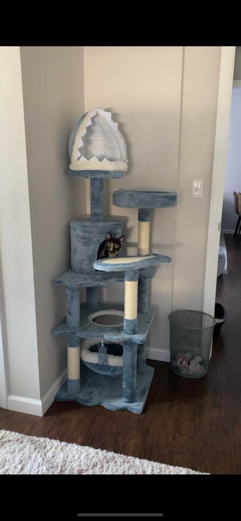 aquatic cat tree review image 4