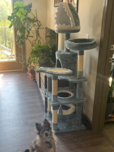 aquatic cat tree review image 5