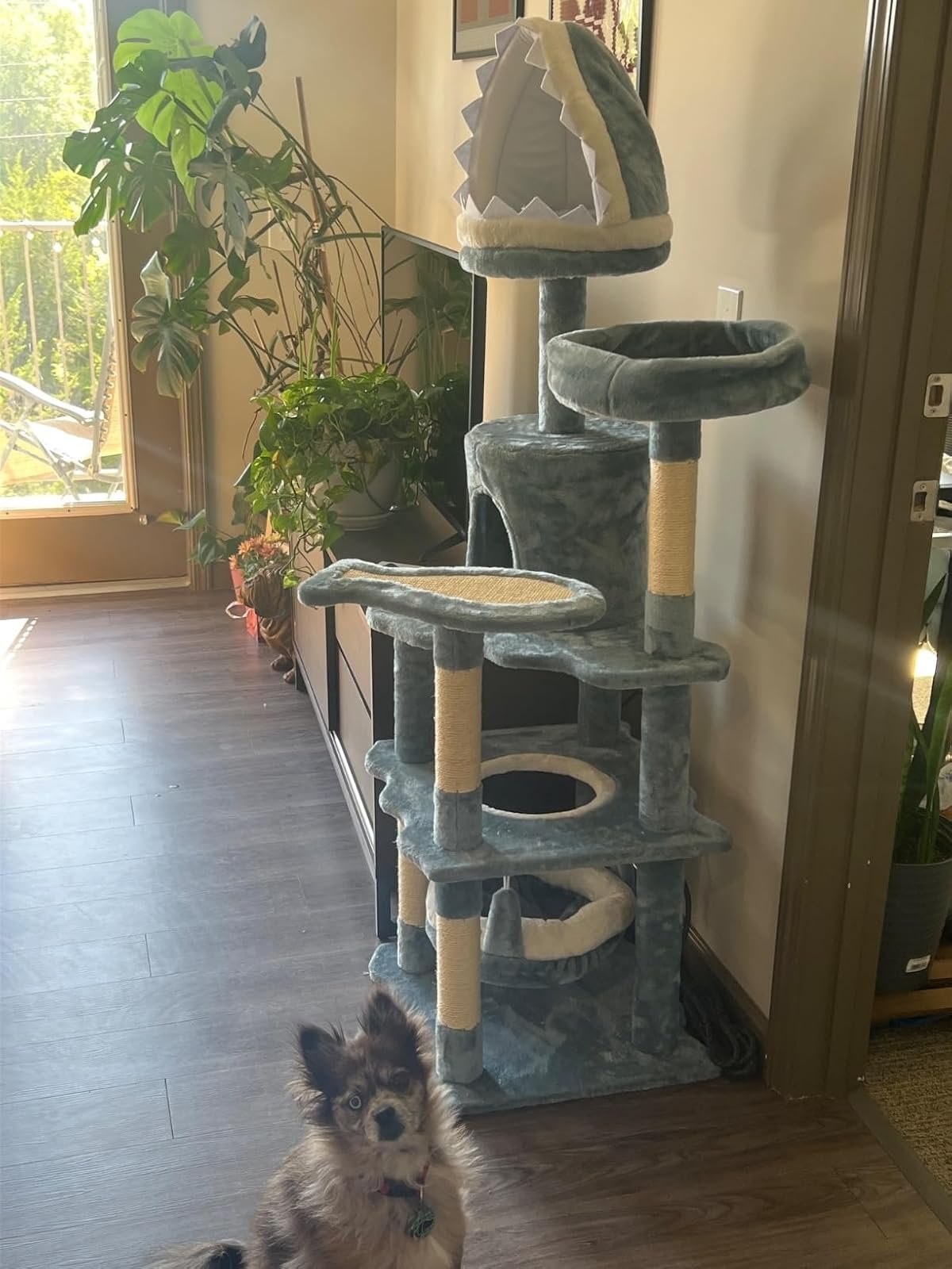 7+ Best Amazon Cat Trees Under $100 (That You’ll Be Proud to Own)