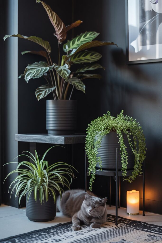 Areca Palm and other greenery in concrete pots styled in a dark room with pet-friendly vibes.