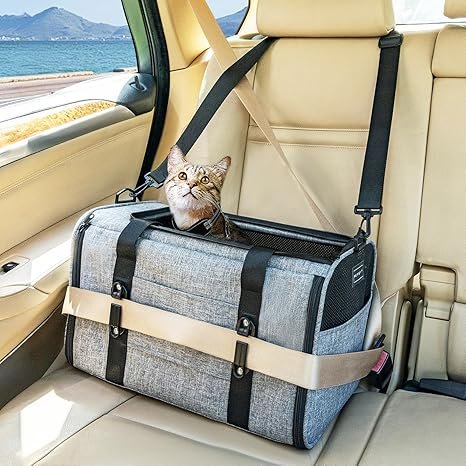 Cat crash carrier for road trips