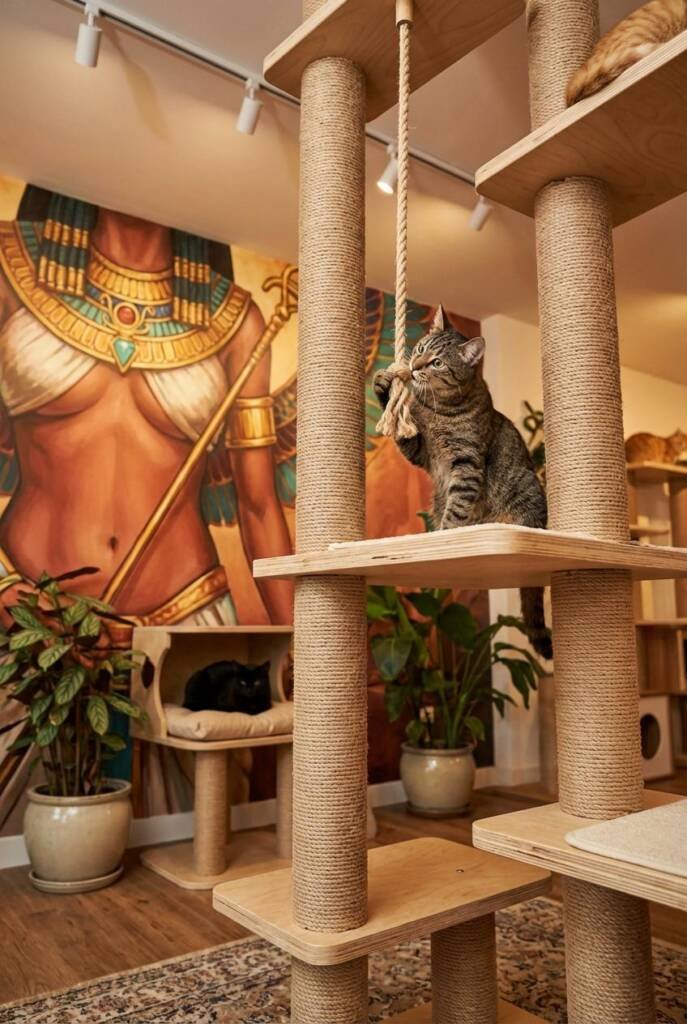 Pinterest vertical 2:3 ratio. Cozy cat lounge scene featuring a small multi-level cat tree with platforms and hideaway, large