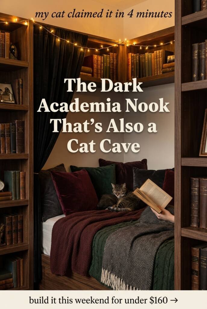 Dark academia reading nook viewed from entrance